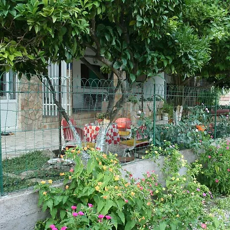 Priko Vrboska