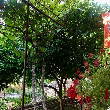Priko Apartament