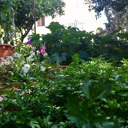 Priko Apartament Vrboska
